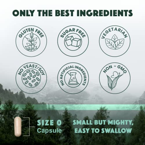 Triple Calm Magnesium 150 mg - 120 Capsules – Magnesium Complex Compound Supplement with Magnesium Glycinate, Malate, and Taurate. Calming Blend for Promoting Rest and Relaxation.