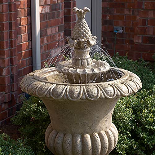 Bird Bath & Fountain Cleaner 8oz.