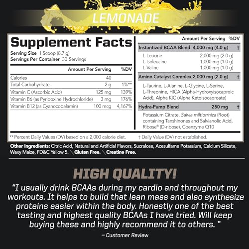 Sports BCAA Stim-Free Amino Acids - Better Workout Performance, Enhanced Recovery, Daily Energy, Muscle Builder, and Muscle Sparing - BCAA Powder Drink Mix - Lemonade (30 Servings)