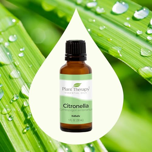 Citronella Essential Oil 30 mL (1 oz) 100% Pure, Undiluted, Citronella Oil for Aromatherapy, Diffuser, Candle Making, Skin Care, Outdoors, Therapeutic Grade