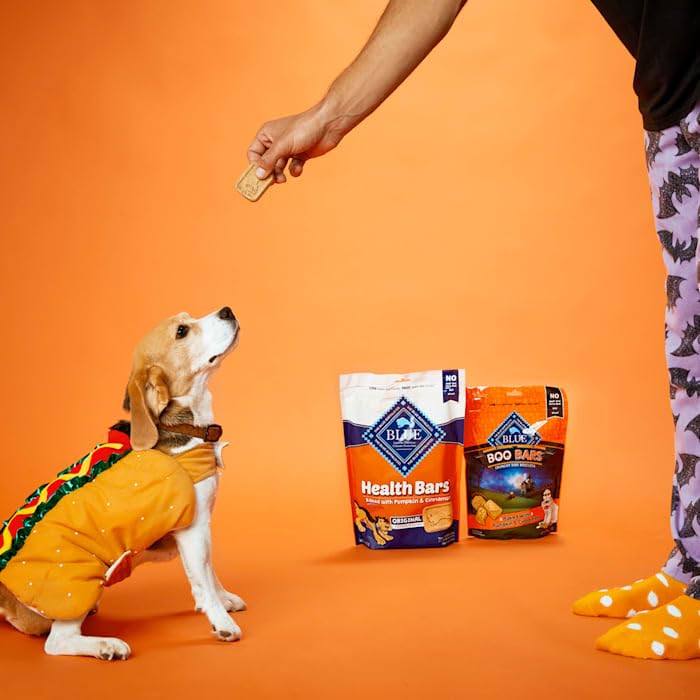 Health Bars Crunchy Dog Biscuits, Oven-Baked With Natural Ingredients, Pumpkin & Cinnamon, 16-oz Bag