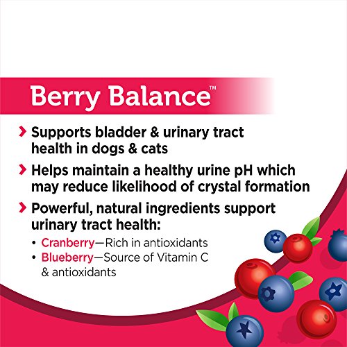 Cranberry Supplement for Dogs & Cats for Urinary Tract Health - Berry Balance UTI + Bladder + Kidney Support for Cats and Dogs with Antioxidants - Cranberry Powder - 3.5 oz