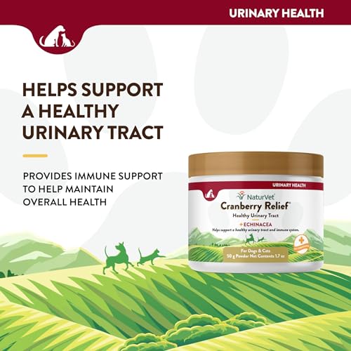 – Cranberry Relief Plus Echinacea | Helps Support a Healthy Urinary Tract & Immune System (50g Powder)