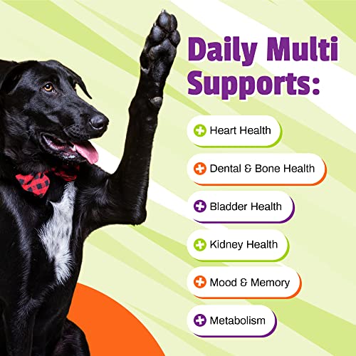 Daily Multivitamin for Dogs, Veggie Flavor, 150 Chews - Yummy Chews with Amino Acids, and Antioxidants - Supports Energy, Metabolic Function and Pet Wellness