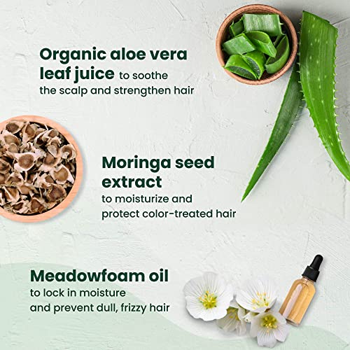 Normalizing Shampoo for Color-Treated, Normal Hair - Aloe Vera to Rebalance, Strengthen, & Add Shine - No Parabens, Sulfates, Gluten - 8.79 fl oz.