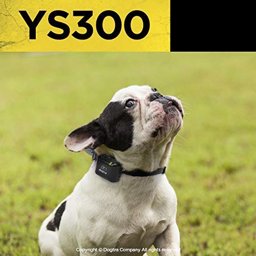 YS300 Rechargeable Waterproof Compact No Bark Collar