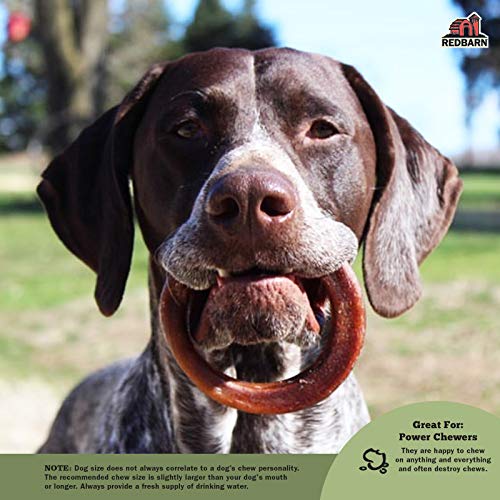 All-Natural 4 Bully Stick Rings for Dogs - Premium Grain-Free & Rawhide-Free Single Ingredient Long Lasting Low Odor Dental Treat for Chewers - 3 Count