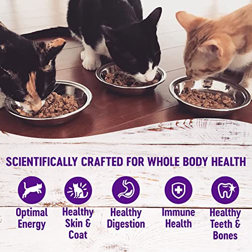 Healthly Indulgence Morsels Adult Wet Cat Food, Natural, Protein-Rich, Grain Free, 3 Ounce Pouch, 24 Pack, (Chicken & Salmon)