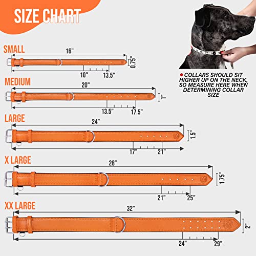 Riparo Leather Dog Collar, Large Dog Collar, Padded Heavy Duty Dog Collar with Dog Tag Holder, Orange Dog Collar (XL, Orange)