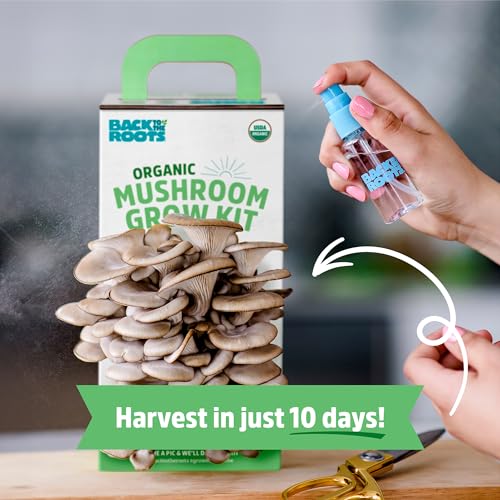 Organic Oyster Mushroom Grow Kit, Harvest Gourmet Mushrooms In 10 Days