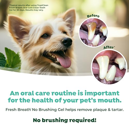 Fresh Breath Dog Toothpaste for Teeth Cleaning, Breath Freshener, Easy to Use Plaque & Tartar Remover Gel, No Toothbrush Needed, 4oz.