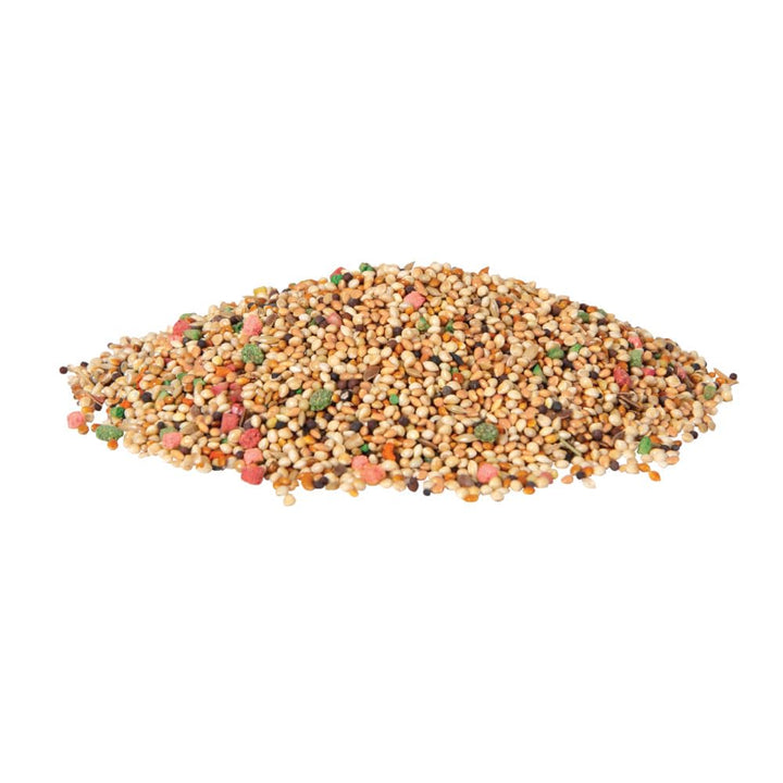 Daily Blend for Parakeet, Canary, Finch & Small Birds, 2 Pounds