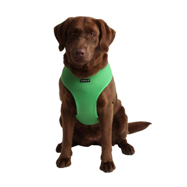 Soft Dog Harness No Choke Over-The-Head Triple Layered Breathable Mesh Adjustable Chest Belt and Quick-Release Buckle, Green, Medium