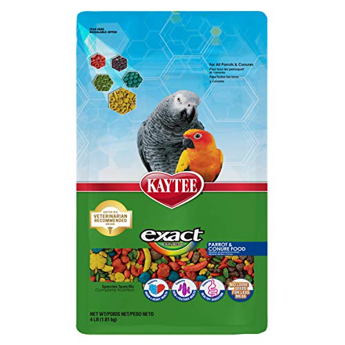 Exact Rainbow Pet Parrot & Conure Food, 4 Pound