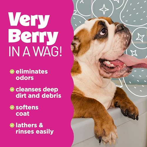 Deodorizing Dog Shampoo for Smelly Pets, Long Lasting Odor Control, Puppy Safe, Made in the USA, Berry Scent, Cat Friendly, 20oz.