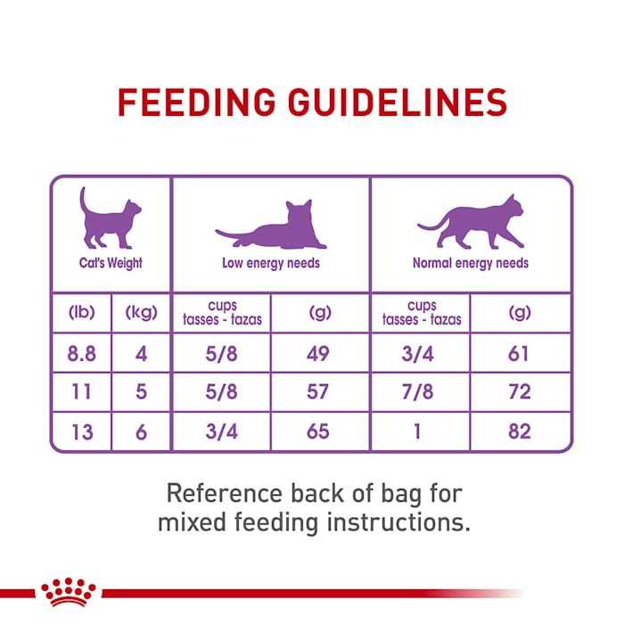 Appetite Control Spayed/Neutered Dry Adult Cat Food, 6 lb bag