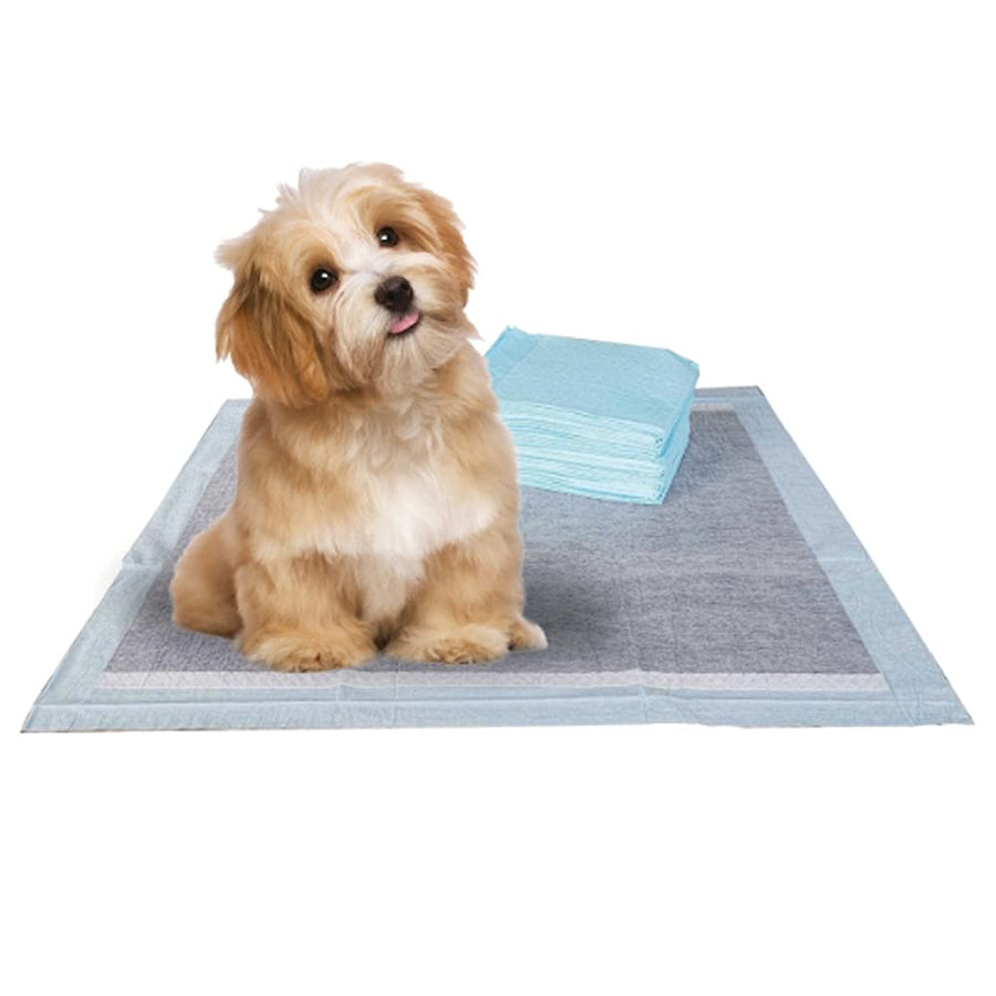 Puppy Pads Leak-Proof 100 Count 22x 22 | Pee Pads for Dogs 6-Layer- Charcoal Pet Potty Pads Puppy Training Pads