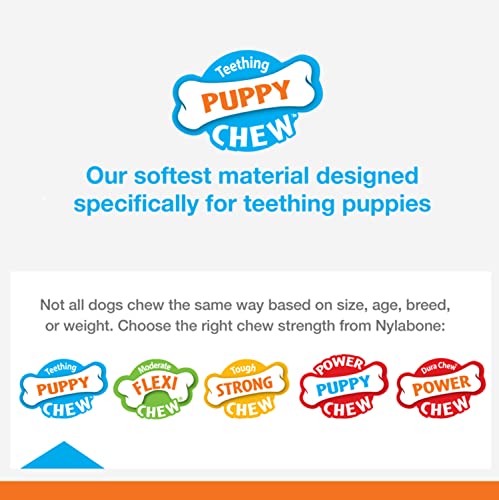 Puppy Pacifier Chew Toy, Teething Toys for Puppies, Bacon Flavor, Small - Up to 25 lbs, 1 Count