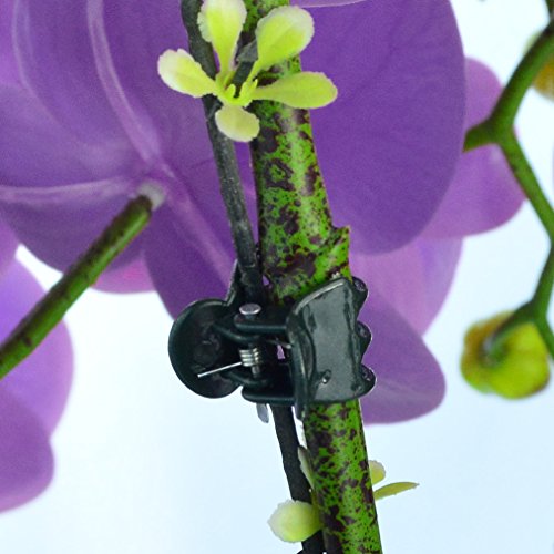 100 pcs Plant Clips, Orchid Clips Plant Orchid Support Clips Flower and Vine Clips for Supporting Stems Vines Grow Upright Dark Green