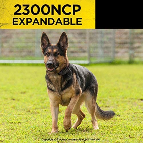 2300NCP Professional Grade High-Output 3/4-Mile 2-Dog Expandable Remote Training E-Collar