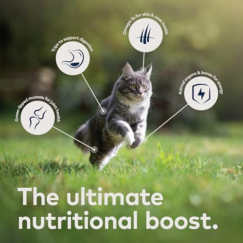 Peak Canned Wet Cat Food – All Natural, High Protein, Grain Free, Limited Ingredient, with Superfoods (Venison, Case of 12, 6.5oz Cans)