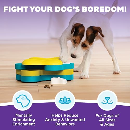 by Nina Ottosson Dog Tornado Treat Puzzle Dog Toy, Level 2 Intermediate, Blue