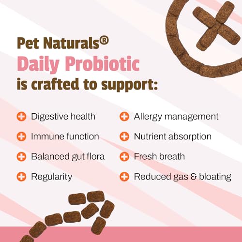 Daily Probiotic for Dogs, Duck Flavor, 160 Chews - 120M CFUs Pre and Probiotics for Dogs Digestive Health, Gut Health, Immune Support, Diarrhea, Allergies and Itching