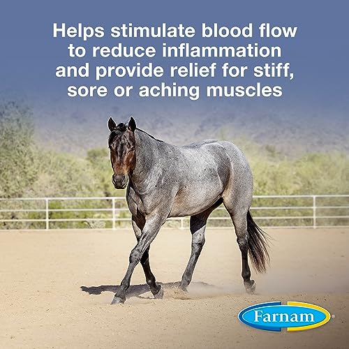 Vetrolin Horse Liniment for Muscle Soreness, Stiffness and Inflammation Relief on Horses, Helps Reduce Swelling, Aids in Pain Relief, 32 Oz.