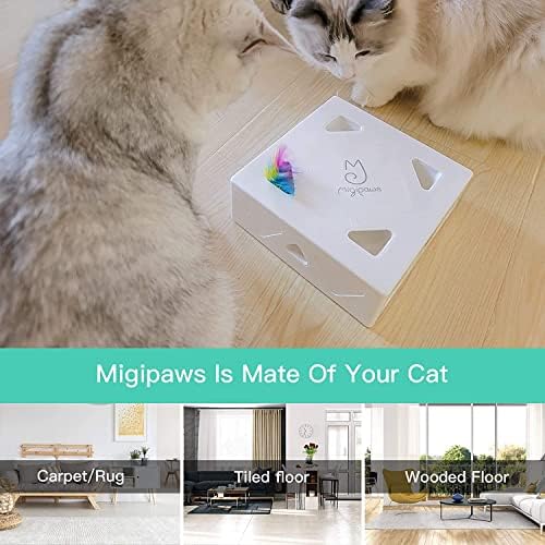 Cat Toys, Interactive Automatic 7 Holes Mice Whack-A-Mole, Ultra Fun Smart Teaser Toy for Indoor Cats, USB Rechargeable, 4 Pieces Feather Refills…