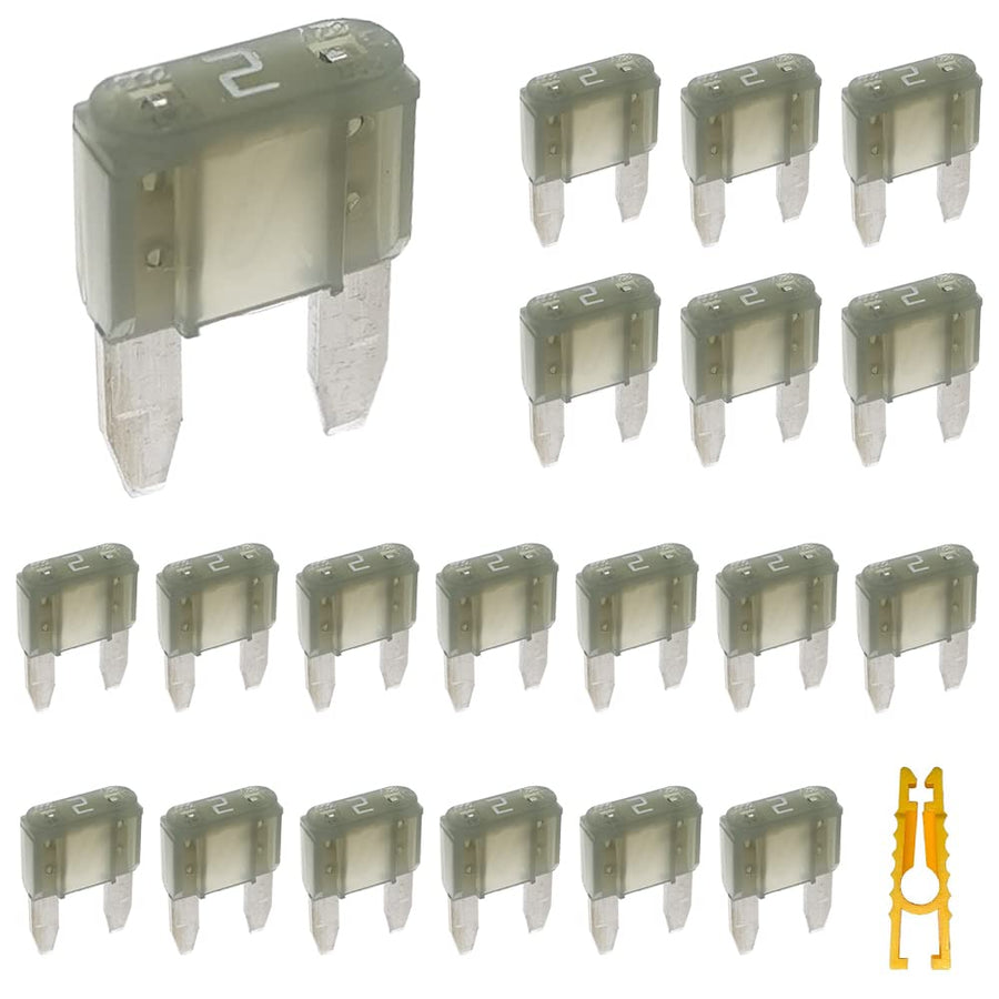20pcs Mini Blade Fuse and 1 Fuse Puller 2A 32V Fast Blow for Replacement Fuses for Car/RV/Truck/Motorcycle/Boat (Mini 2 Amp)