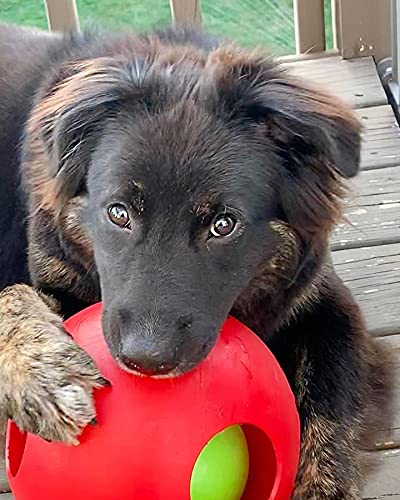 Teaser Ball Dog Toy, Large/8 Inches, Red