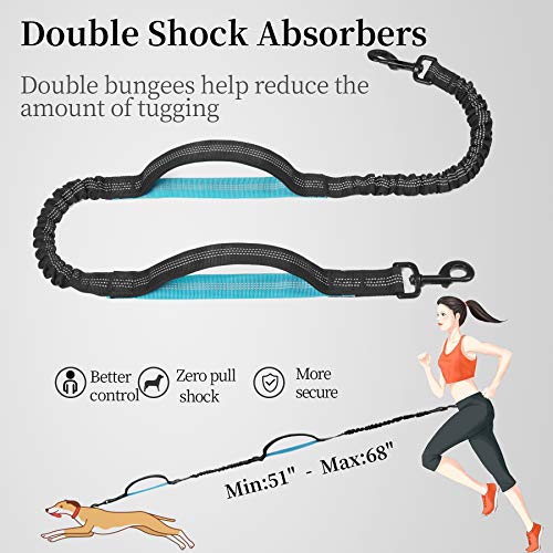 Hands Free Dog Leash with Zipper Pouch, Dual Padded Handles and Durable Bungee for Walking, Jogging and Running Your Dog (Large, 25-120 lbs, Black)