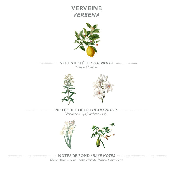 - Verbena Eau de Toilette - Christmas Gifts for Women - Light Perfume for Women - Natural, Floral Fragrance - Gift Ideas for Women - Parfum Made in France - Hair & Body Spray 1.7 Floz