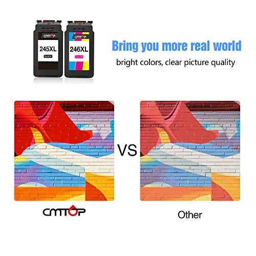 Compatible Ink Cartridge Replacement for Canon Ink Cartridges 245 and 246, for Canon PIXMA MG2522 MG2520 MX490 MX492 MG2920 MG2922 IP2820 TS3122 MG2420 MG2922 Printer, 1 Black+1 Tri-Color