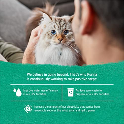 Purina Grain Free, Natural Pate Wet Cat Food, Grain Free Ocean Whitefish & Spinach Recipe - (12) 3 oz. Cans