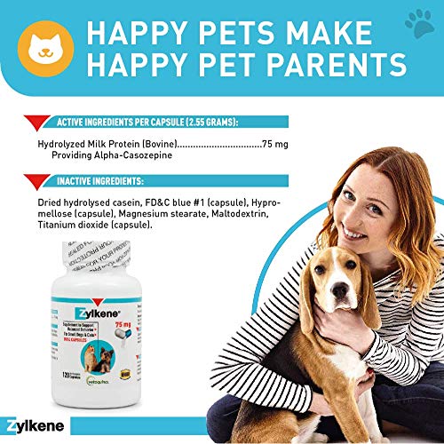 Zylkene Calming Support Supplement for Small Dogs and Cats, Helps Promote Relaxation and Reduce External Stress Factors, Daily Behavioral Support and Anxiety Relief for Dogs and Cats, 75mg
