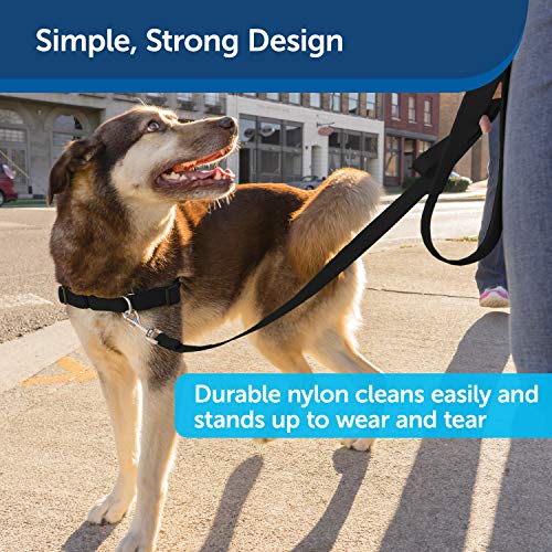 Nylon Dog Leash – Strong, Durable, Traditional Style Leash with Easy to Use Bolt Snap for Small, Medium and Large Dogs – 3/8 x 6', Black