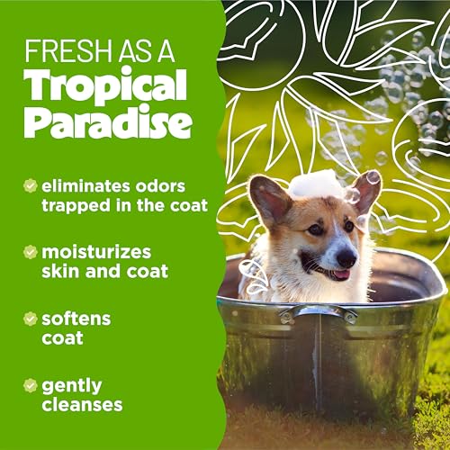 Deodorizing Dog Shampoo for Smelly Dogs, Professional Dog Shampoo, Powerful Odor Control, Puppy Safe, Aloe & Coconut Scent, 1 Gallon