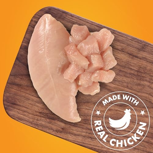 Dog Treats, Chicken Jerky for Dogs, Made with 100% Real Chicken Breast, 16 Ounces, Healthy, Easily Digestible, Long-Lasting, High Protein Dog Treat, Satisfies Dog's Urge to Chew (Pack of 1)