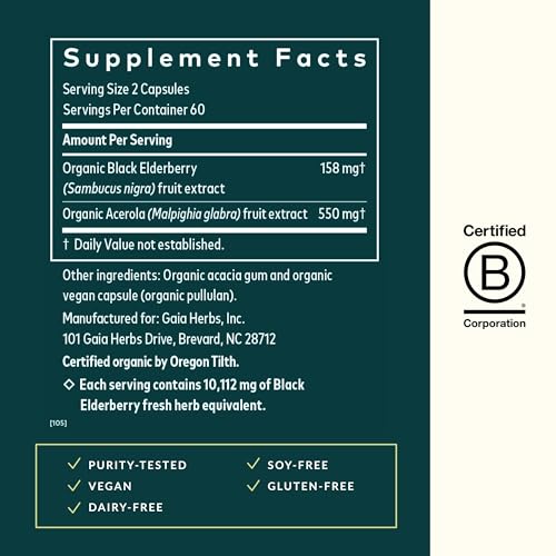 Black Elderberry - Daily Immune Support Supplement to Help Maintain Well-Being- with Black Elderberries and Acerola Fruit for Antioxidant Support - 120 Vegan Capsules (60-Day Supply)