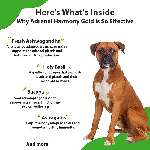 Adrenal Harmony Gold for Dogs - Supports Cortisol Balance, Adrenal Gland Function, Healthy Skin & Weight, Ashwagandha - Veterinarian-Formulated Herbal Supplement 2 oz (59 ml)