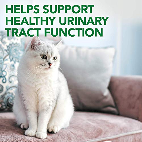 Cat Urinary Tract Support Chewables - Supports A Healthy Urinary Tract in Cats - 60 Chewable Tablets