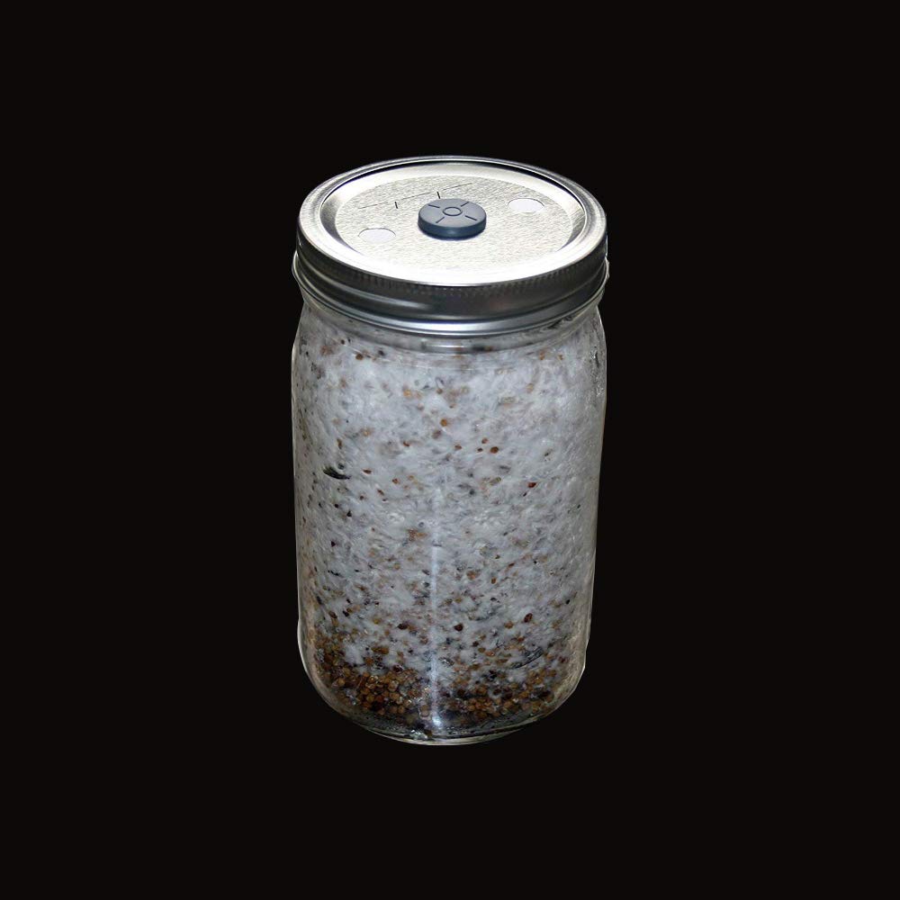 64pcs Synthetic Filter Paper Stickers-20mm Diameter,0.25Micron Filter,Used For Mushroom Cultivation, Place Under The Mason Jar Lids