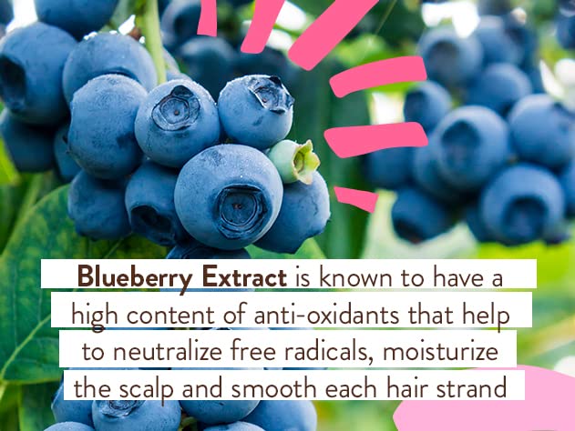 Smoothing Berry Conditioning Spray - Detangling & Nourishing - Eliminates Frizz & Prevents Static - Evening Primrose Oil - Non-Aerosol - For all ages - Light Berry Fragrance
