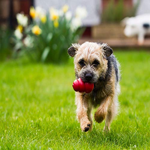 Classic Medium Dog Toy Red Medium Pack of 2