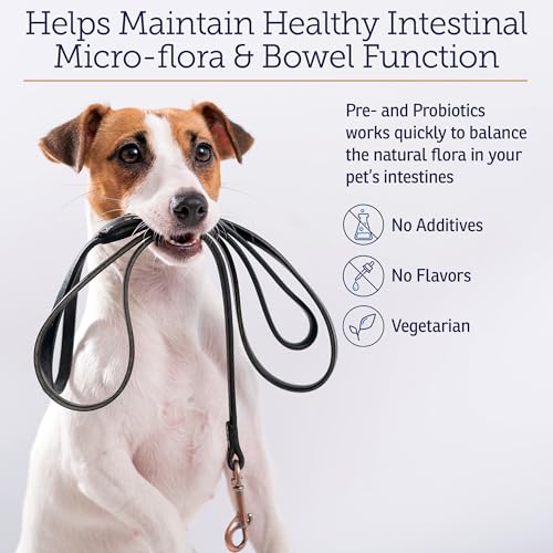 Rx Biotic Probiotics for Dogs & Cats - Digestive Supplement for Pets - 2.12 oz