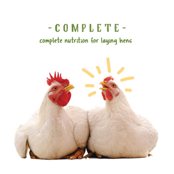 Layer Pellets for Chickens | Non-GMO & Organic High Protein Feed for Laying Hens | 10 Pounds
