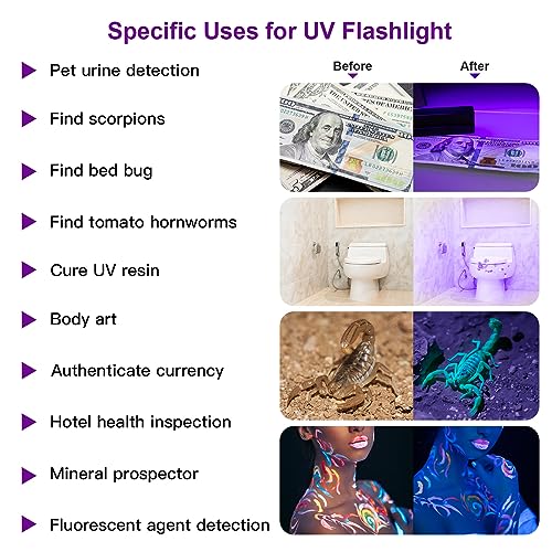 2 Pack UV Flashlight, 12 LED Handheld Blacklight Flashlight 395nm Mini Light Torch Detector for Dog Pet Urine Stains, Bed Bugs and Scorpions. (Batteries not Included)