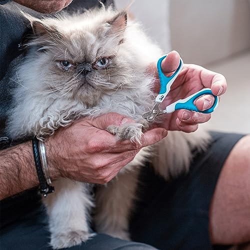 - Cat Nail Clipper, Kitten Nail Trimmers, Pet Nail Cutter