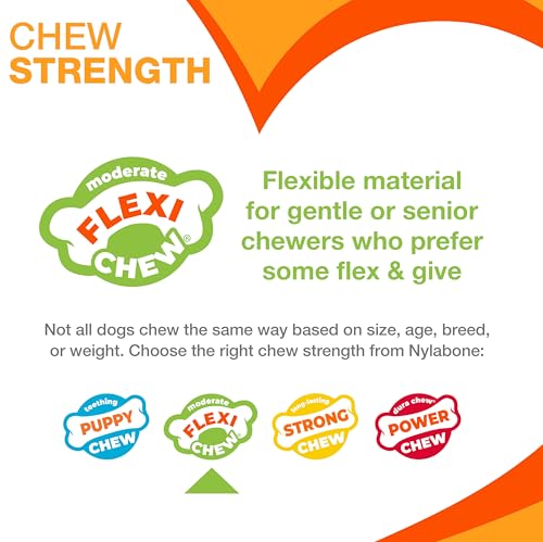 Gumabone Textured Dental Bone Flexi Chew Toy for Dogs, Dog Toys for Moderate Chewers, Chicken Flavor, Small - Up to 25 Ibs, 1 Count